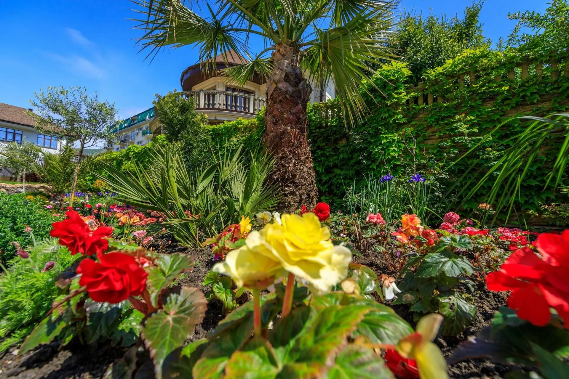 Территория отеля