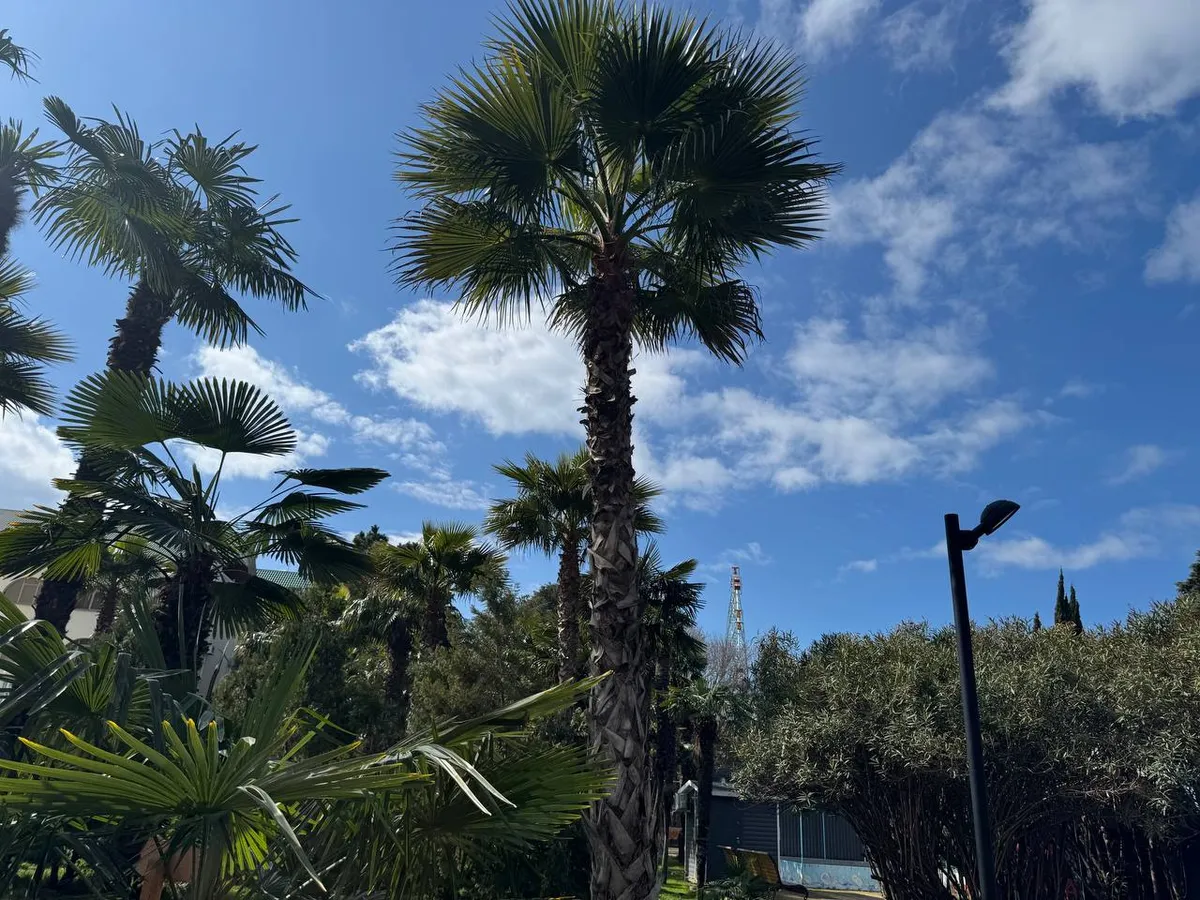 Отдых в Лазаревском с детьми: всё что нужно знать в 2026