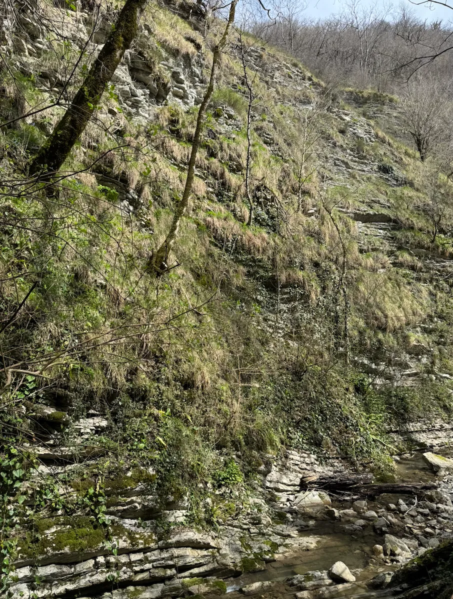 Экскурсии из Лазаревского 2026: цены и маршруты для семей